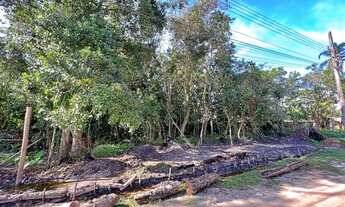 Imagem: Terreno em Boracéia
