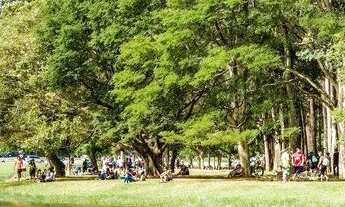 Imagem 3: Garden - Altier Moema Pássaros