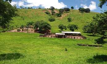 Imagem 6: Fazenda no Marilac/MG - 39 Alqueires