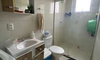 Imagem 7: FARROUPILHA - Padrão - São Francisco