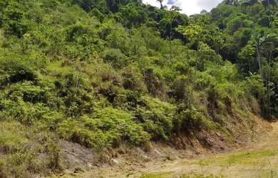 Imagem 6: Santa Leopoldina