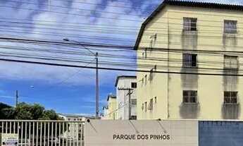Imagem: Aluguel primeiro andar Pinho 1