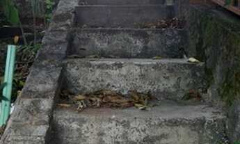 Imagem 7: Casa em sobradinho quadra 2