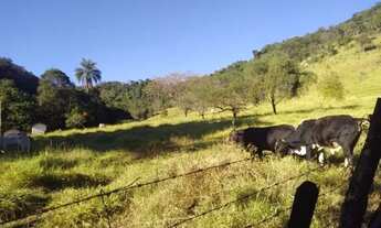 Imagem 4: Sitio com 11.7 Alqueires em Claraval - Edi