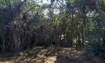 Imagem 3: Terreno com acesso a lagoa