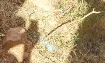 Imagem 2: Vendo ou troco por outro imóvel no jardim Roriz qd 1 a3,vila militar,ou vila de Fátima