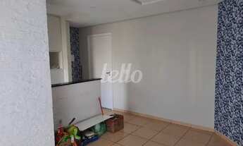 Imagem 7: São Paulo - Apartamento Padrão - Cachoeirinha