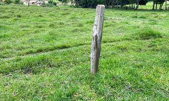 Imagem 7: LL-Vendo terreno para sua Chácara