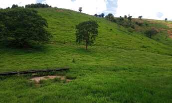 Imagem 5: Fazenda no Marilac/MG - 39 Alqueires