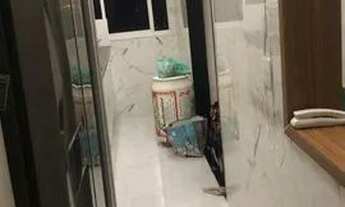 Imagem 3: Apartamento para venda com 80 metros quadrados com 4 quartos em Alcântara - São Gonçalo