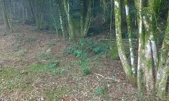 Imagem 4: Sítio 9 hectares com vísta panorâmica próximo de Gramado