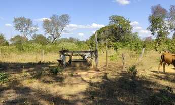 Imagem 8: Fazenda de 830 Hectares, Toda Plana, Solo Argiloso, Margeando 2,5 km Rio São Francisco - J