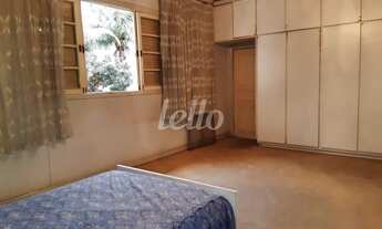 Imagem 7: São Paulo - Casa Padrão - Belém