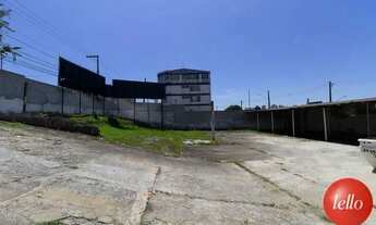 Imagem 4: São Bernardo do Campo - Terreno Padrão - Jardim Três Marias