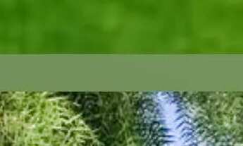 Imagem: Terreno Lote a venda $ 285mil