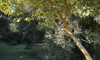 Imagem 6: Terreno à venda, Fiuza - Viamão/RS