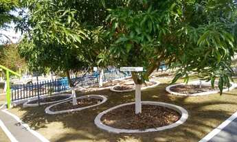 Imagem 7: Área / Chácara á venda,6988.00 m² só de terreno - Recanto Ipanema do Meio, Araçoiaba da Se