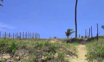 Imagem 2: TERRENO NA PRAIA / PORTO DE SAUÍPE- BA