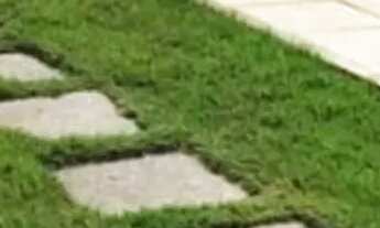 Imagem 6: Vende-se lote Interlagos - oportunidade única