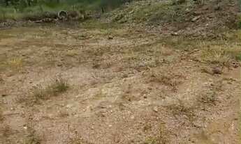 Imagem: Vendo terreno no Paranoá