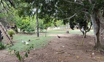 Imagem 4: SÍTIO À VENDA IRANDUBA / AM, AM-070, Km 28, Acesso ao Rio Negro