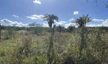 Imagem 2: Oportunidade localização privilegiada zona rural de Irará