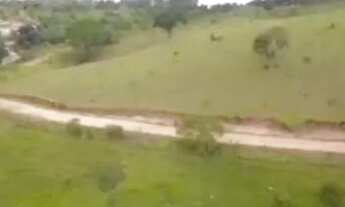 Imagem 4: Vende se linda chácara com 68 mil metros toda formada em alexania go 11 km da cidade