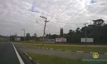 Imagem 2: Espetacular área na Raposo Tavares km 43,5 sentido interior z. mista