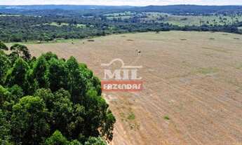 Imagem 5: Fazenda 29 Alqueires (141 hectares) Urutai - Go