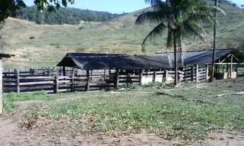Imagem 7: Venda-se está fazenda de 88 Alqueires no município de Mimoso do Sul/ES