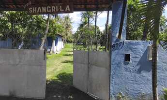 Imagem 3: Campo Grande - Sito 10.000 - RGI