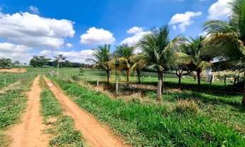 Imagem: CEDRAL (SP) Sítio com 2 alqueires