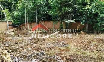 Imagem 6: Lote em Avenida da Vivenda Verde - Tarumã-Açu - Manaus/AM