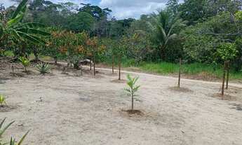 Imagem 5: Sítio à 9km de Laje/Ba