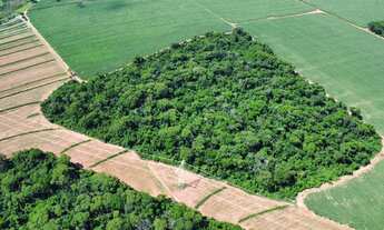 Imagem 2: Vende-se sítio município de Indiaporã