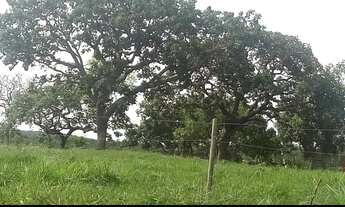 Imagem 5: Vende-se terreno na comunidade santa Rita rural