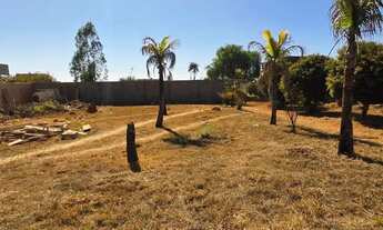 Imagem 2: Lote 26 de setembro