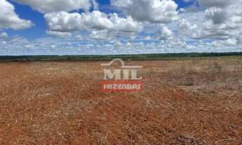 Imagem 3: Fazenda 125 alqueires (605 Hectares) Piranhas - GO