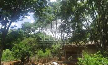 Imagem 8: Chácara à venda, com Casa e Barracão ao Lado Lot. Paris, GUARANIACU - PR