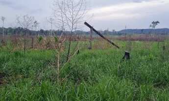 Imagem 2: Fazenda 1.000 x 3.400 BR 174 km 168 780.000