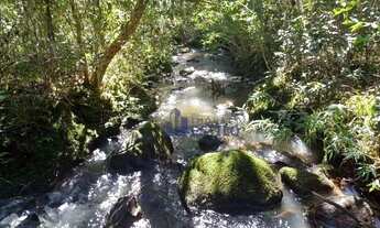 Imagem 7: Área à venda, 20000 m² por R$ 200.000,00 - Zona Rural - Criúva (Caxias do Sul)/RS