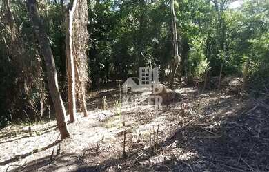 Imagem 6: Terreno à venda, 951 m² por R$ 290.000,00 - Itaipu - Niterói/RJ