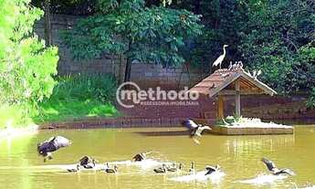 Imagem 3: Terreno à venda, 2192 m² - Barão Geraldo - Campinas/SP