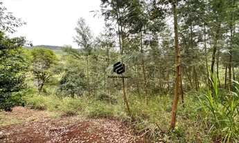 Imagem 6: Área de Terras à venda no Bairro Vale Esquerdo em Dois Irmãos RS REF: 1610