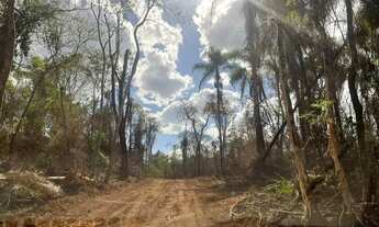 Imagem: NATUREZA PROXIMA AO CENTRO