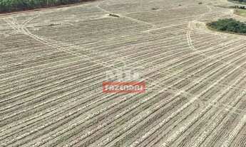 Imagem 5: Fazenda 338 Alqueires (1.635 hectares) Alexânia - GO