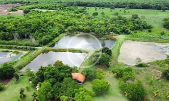 Imagem 2: Sitio localizado a 7 km de Jangada, 4 km de estrada de chão Com 12 hectares de área total