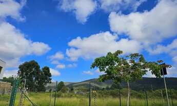 Imagem 6: Lote a venda preço abaixo de mercado