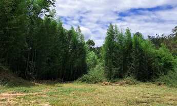 Imagem 3: Vende-se terreno inhayba, estrada das laranjeiras