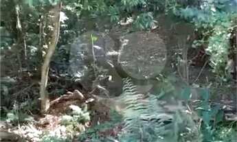 Imagem 6: Área de Terra à venda em Chácara Arantes - SP